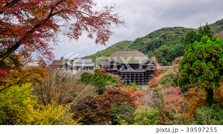 Kiyomizu Temple at autumn in Kyoto, Japan 39597255