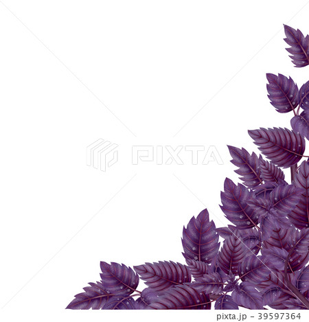 Decor for corner of leaves Basil Decor for corner of leaves Basil 39597364