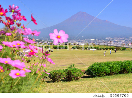 雁堤からの秋の風景-223444 雁堤からの秋の風景-223444 39597706