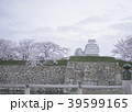 姫路城の桜 39599165