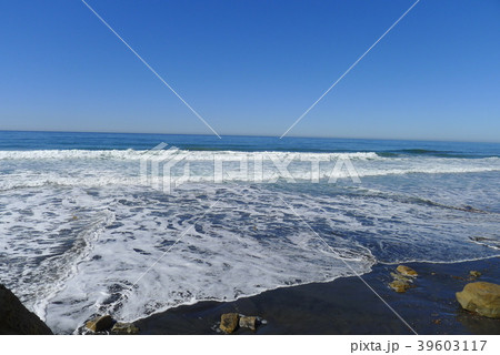 トーリー パインズ州立保護区付近の海辺 トーリー パインズ州立保護区付近の海辺 39603117