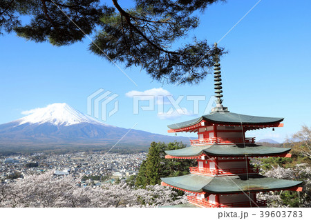 新倉山の忠霊塔と満開桜（山梨県） 39603783