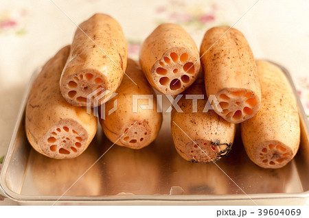 蓮根 39604069