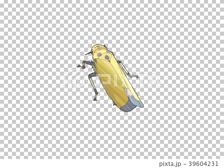 Tsunagogyo Oshoko 39604231