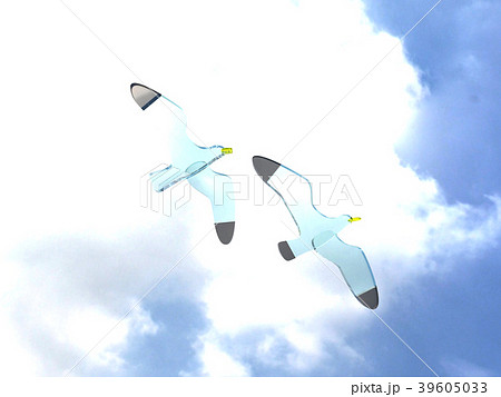 かもめ　空　飛翔 39605033