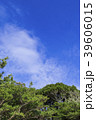 青空と新緑 39606015