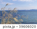 海とススキ 39606020