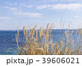 海とススキ 39606021