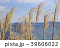 海とススキ 39606022