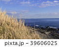 海とススキ 39606025