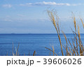 海とススキ 39606026