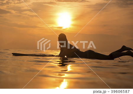 Surfer girl in ocean at sunset time Surfer girl in ocean at sunset time 39606587