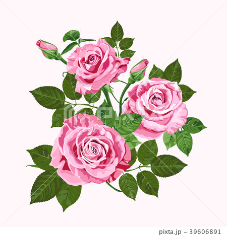 Pink roses bouquet isolated on the white 39606891