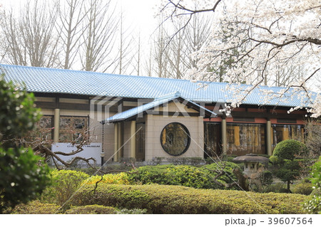 春の牛久シャトー オノエンミュージアム 春の牛久シャトー オノエンミュージアム 39607564