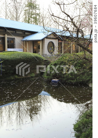 春の牛久シャトー オノエンミュージアム 春の牛久シャトー オノエンミュージアム 39607684