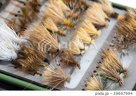 Dry Fly Box Case 39607994