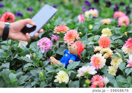 a  taking snapshots of flowers  39608676