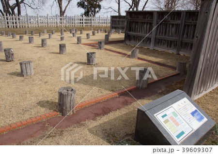 根城 根城 39609307