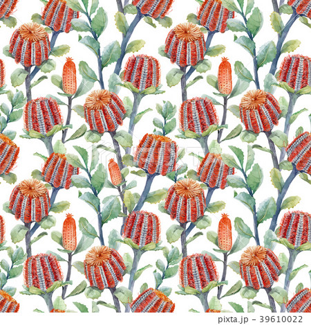 Watercolor australian banksia vector pattern 39610022
