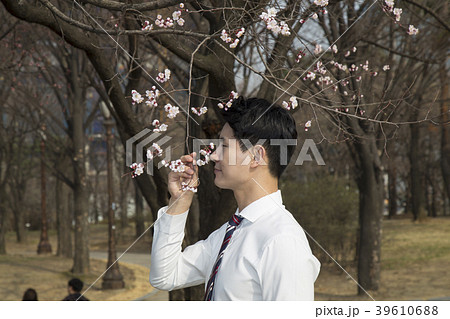 ビジネスマン 韓国人 汝矣島公園 39610688