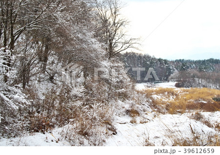 雪景色　山野 39612659