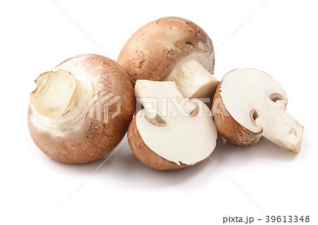 Royal Brown champignon with half isolated on white 39613348