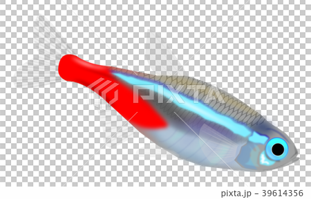 霓虹燈四 39614356