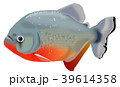 ピラニア　ナッテリー 39614358