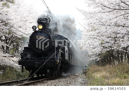 大井川鉄道C10 8牽引のSL客車列車 39614503