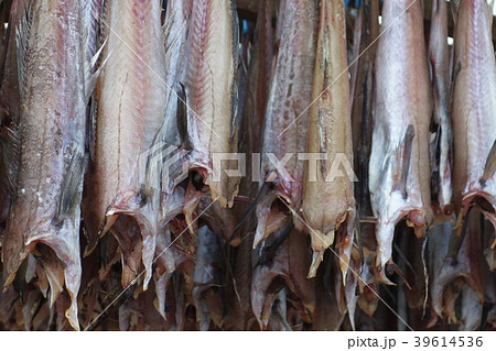 スケトウダラ　棒干し　イメージ素材 39614536