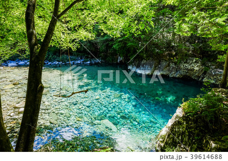 阿寺渓谷(7月) 阿寺渓谷(7月) 39614688