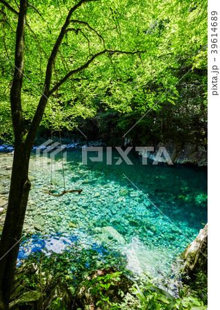 阿寺渓谷(7月) 阿寺渓谷(7月) 39614689