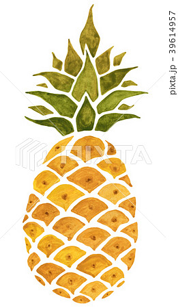 Pineapple. Watercolor illustration. 39614957