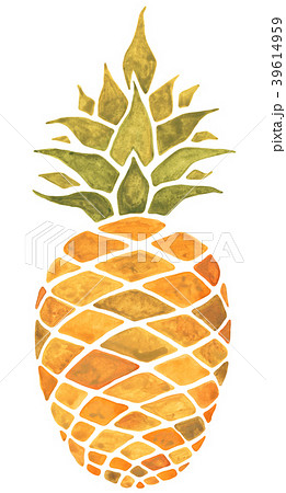 Pineapple. Watercolor illustration. 39614959