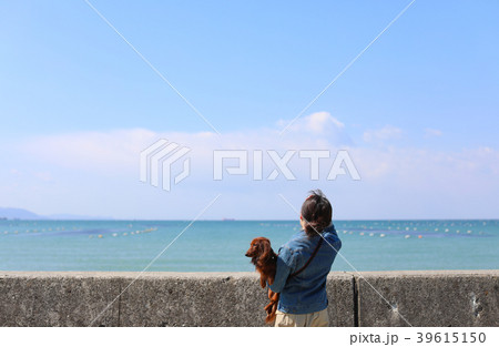 海を楽しむダックスフンド 39615150