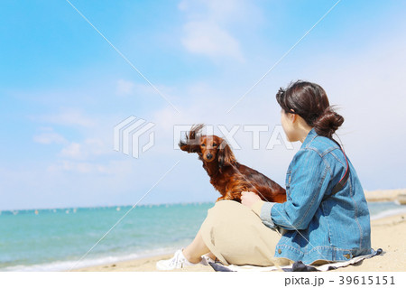 海を楽しむダックスフンド 39615151