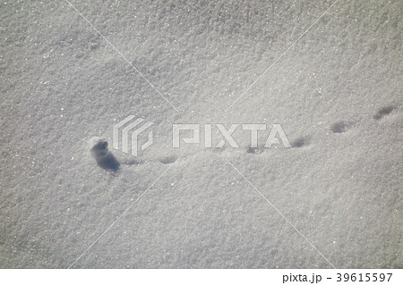 転がる雪玉　冬の自然現象素材 39615597