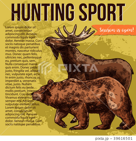Hunting poster of wild forest animal, bird sketch 39616501