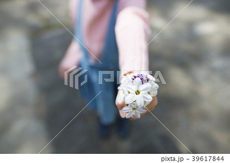 花を差し出す女の子の写真素材