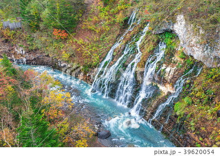 白ひげの滝と美瑛川 秋 (北海道上川郡美瑛町白金) 2017年10月撮影 白ひげの滝と美瑛川 秋 (北海道上川郡美瑛町白金) 2017年10月撮影 39620054