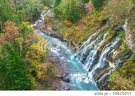 白ひげの滝と美瑛川 秋 (北海道上川郡美瑛町白金) 2017年10月撮影 白ひげの滝と美瑛川 秋 (北海道上川郡美瑛町白金) 2017年10月撮影 39620055