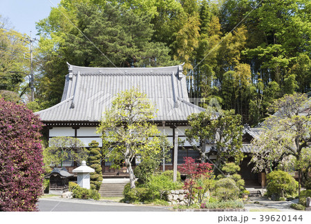 禅林寺の本堂(東京都羽村市) 禅林寺の本堂(東京都羽村市) 39620144