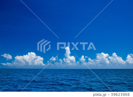 tropical beach tropical beach 39623908