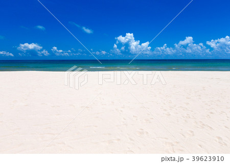 beautiful beach and tropical sea 39623910