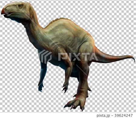 Camptosaurus 39624247