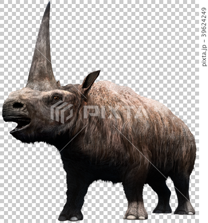 Elasmotherium  39624249
