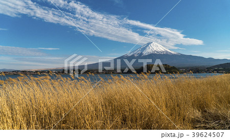 Mount Fuji and Dry grass at Kawaguchiko lake. Mount Fuji and Dry grass at Kawaguchiko lake. 39624507