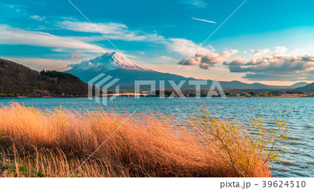 Mount Fuji and Dry grass at Kawaguchiko lake. Mount Fuji and Dry grass at Kawaguchiko lake. 39624510