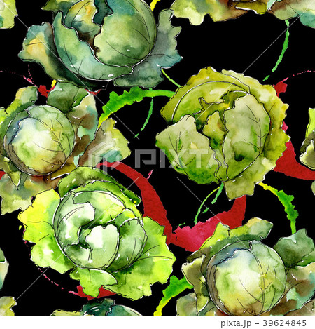 Green cabbage vegetables  in a watercolor styl 39624845