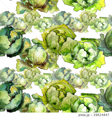 Green cabbage vegetables  in a watercolor styl 39624847